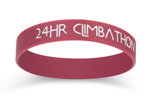 Imprinted Wristband